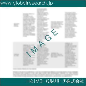 グローバルリサーチ調査資料のイメージ